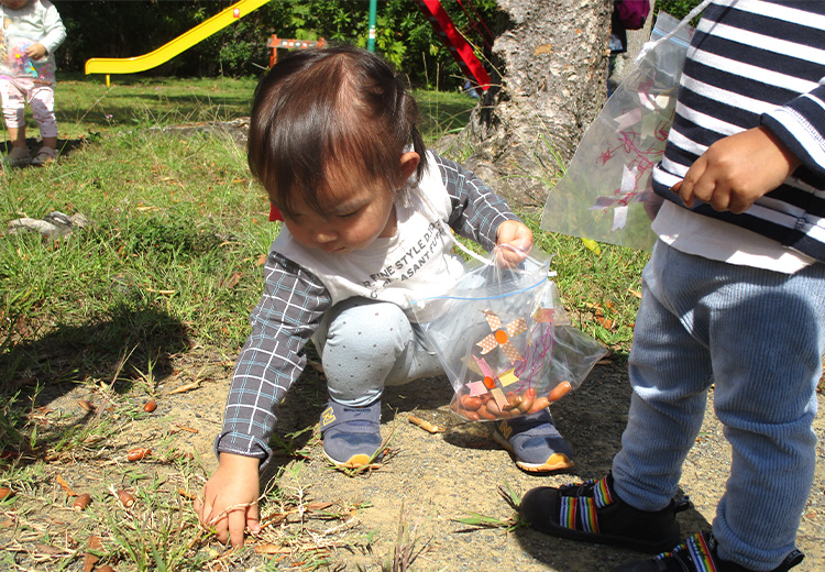 どんぐり拾い