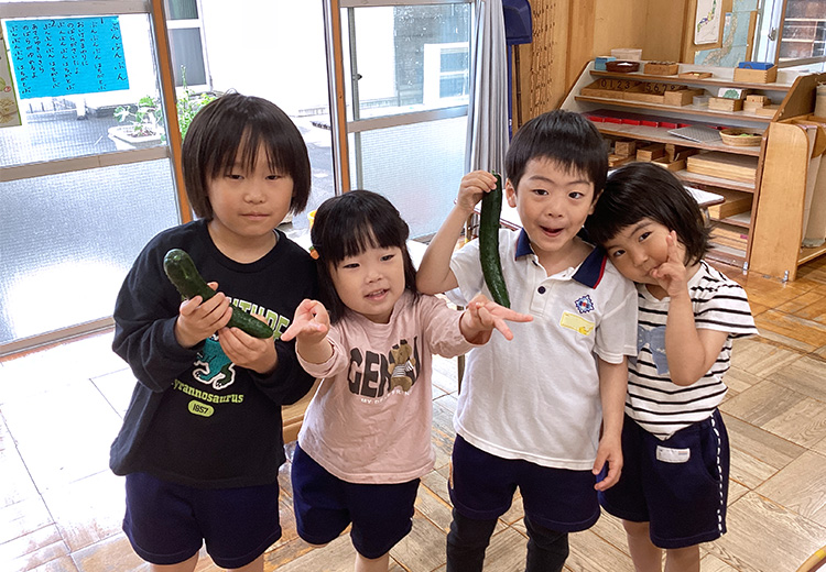 大きなきゅうり