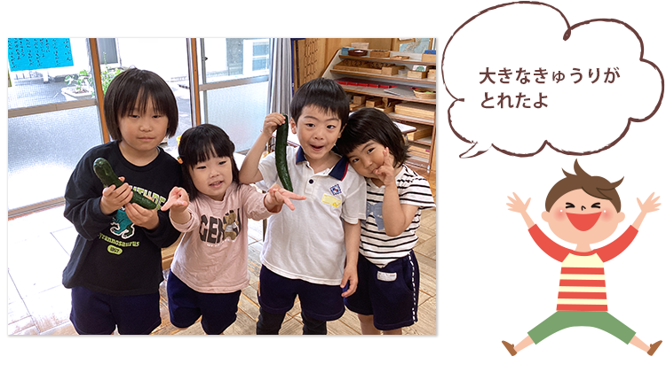 大きなきゅうりがとれたよ  